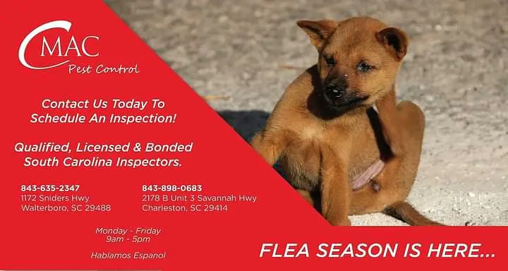 CmacPest's tweet image. 