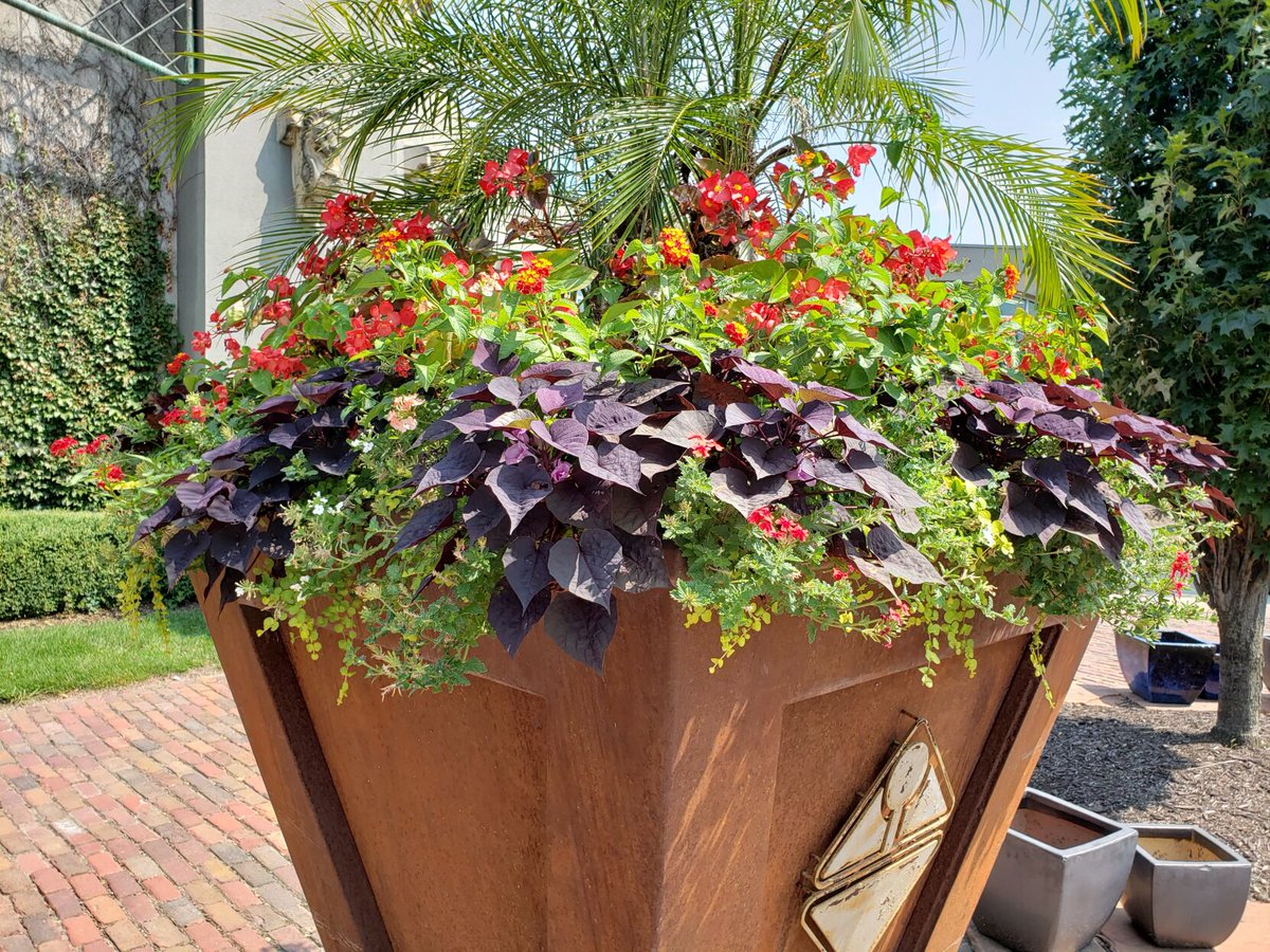 inspired_omaha's tweet photo. From columnist @mduceyOWH: If you’re a crazy #gardener like me, you’re always checking out other people’s efforts on social media. I finally realized why they look 100 times better than my spindly annuals: I need to start fertilizing. #gardentips #plants https://t.co/Limx0yJalS https://t.co/E4ILcQWRAw