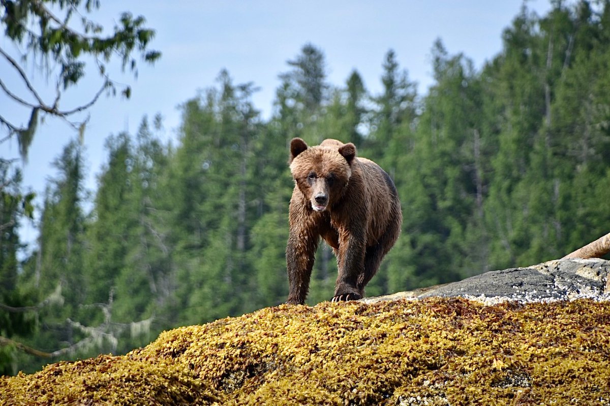 Duncanby Lodge tweet media
