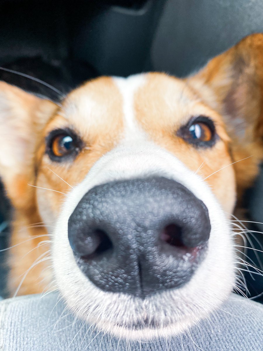 ᴵ ˡᵘᵛ ᵘ