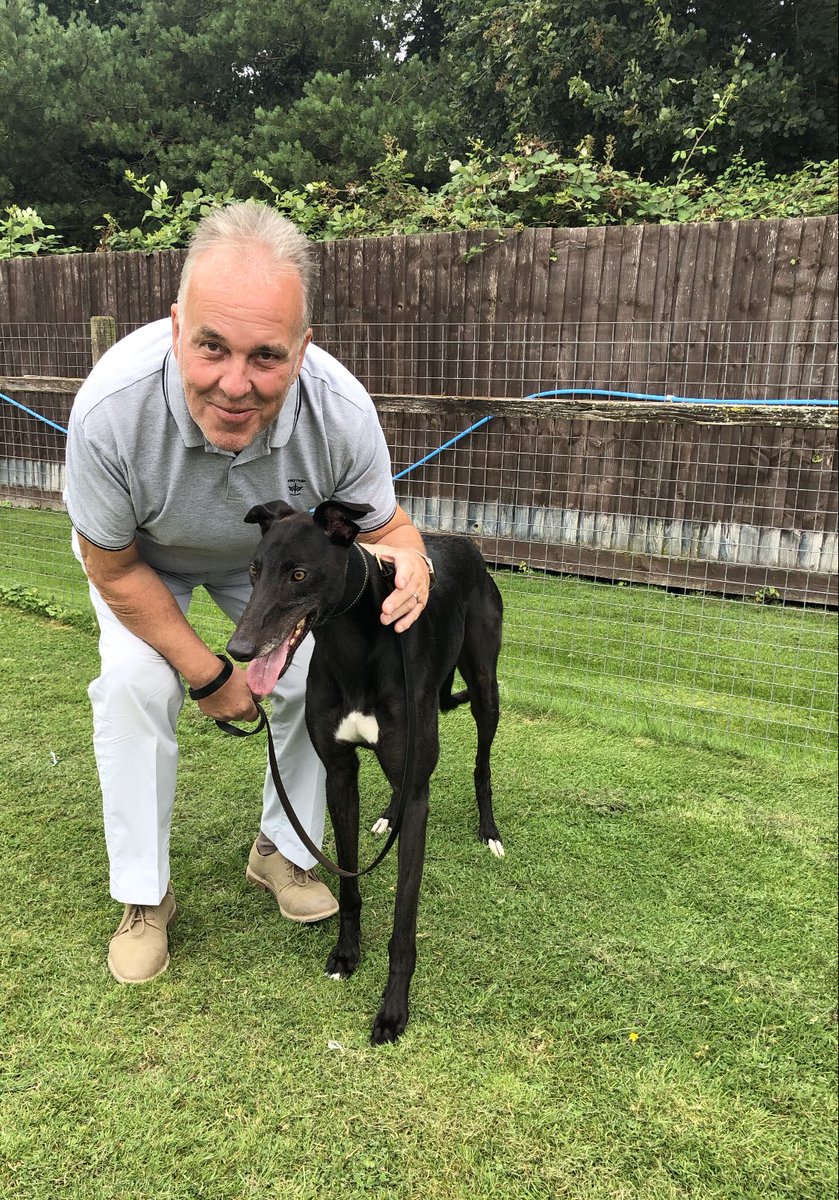 Very pleased with Mister Brentford’s trial today at Central Park today.

He’s 4 next month, so approaching the twilight of his career. Our ‘Wolfie’ 🐺 has certainly been a joy for us all 🥰

A bit like his namesake 😁#theresonlytwomisterbrentfords