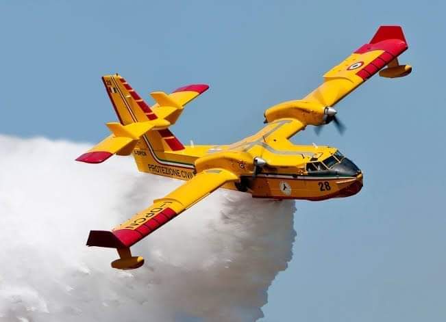 Rayanemerad1's tweet photo. #PrayForAlgeria
أصبحت ضرورية و يجب على الحكومة التحرك لإقتناء هذه المروحيات CANADAIR و توفير البرك المائية بجانب الغابات لتسهيل عمل هذه المروحيات.
#اشري_Canadair_CL415 https://t.co/qjosxzNi6X