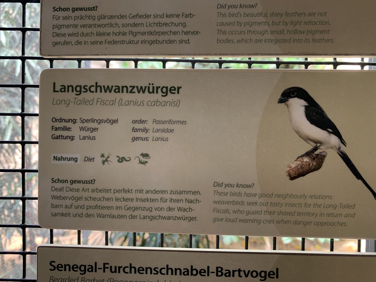 Jon_Geb's tweet photo. Wildes Volk, diese Hornytologen. https://t.co/Bx7wS9Ezb1