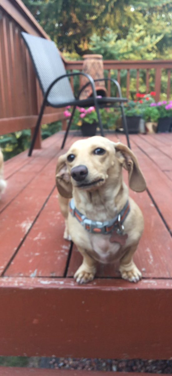 Libby doesn’t believe you’ve had enough water yet today.