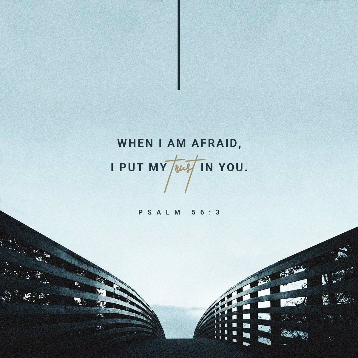 When I am afraid, I put my trust in you.
Psalm 56:3 ESV

bible.com/verse-of-the-d…