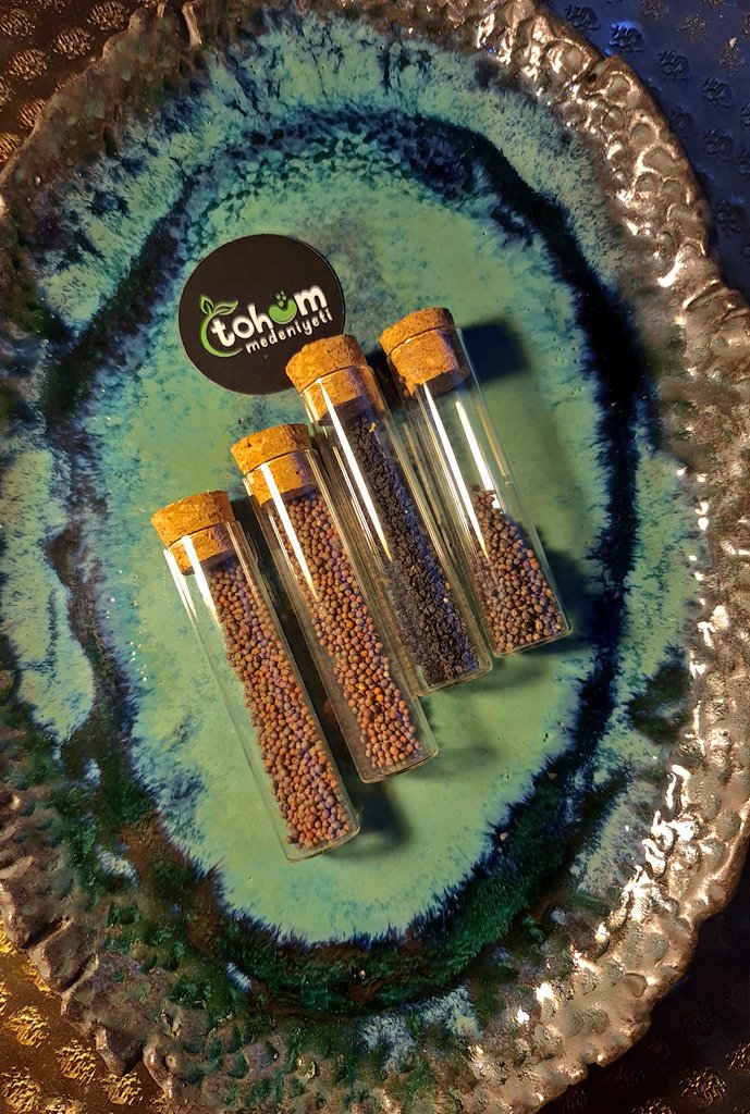 17 Ağustos 2021 saat 21:⁰⁰ a kadar bu twete RT eden 2 takipçimize Brokoli - Pırasa - Karnabahar - Lahana tohumlarını  çekilişle  hediye ediyoruz.🐞