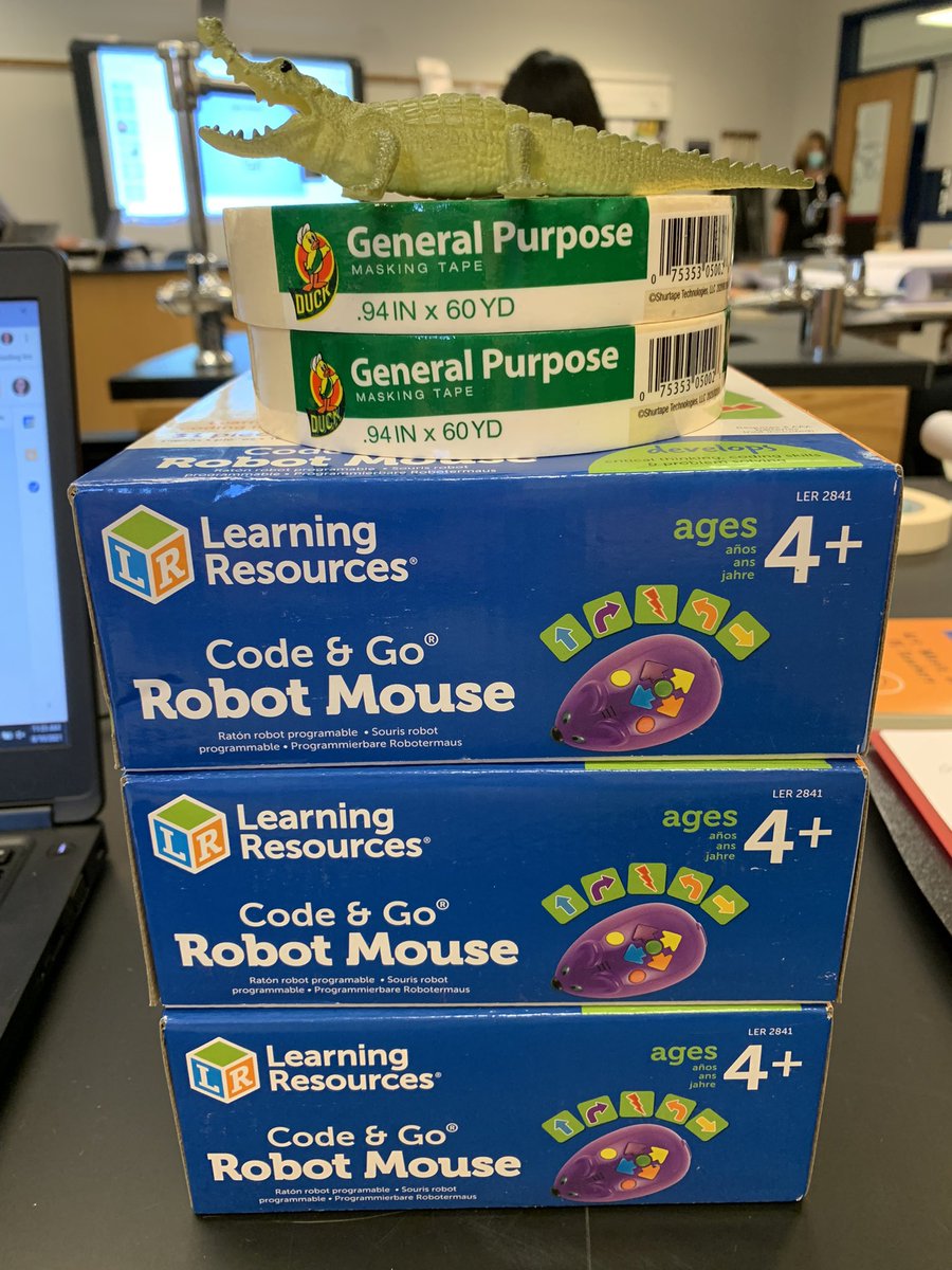 Paige Conti tweet media