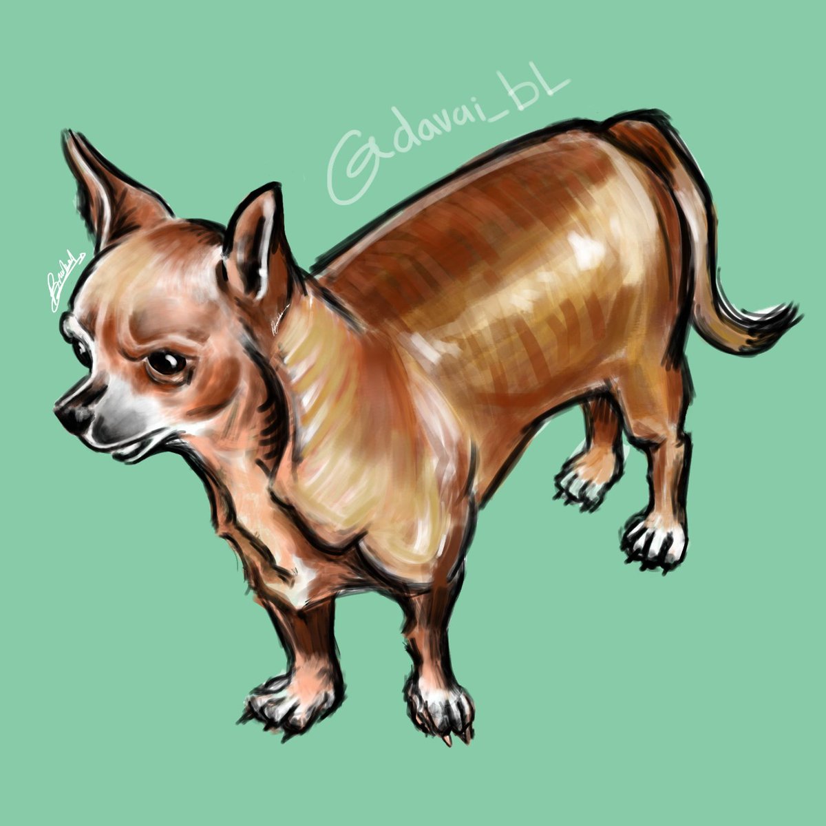 Sister_Hanaguma's tweet photo. Comisión de mascotas de cuerpo completo. 10 dólares, interesados al privado.
#drawanimal #drawing #sketch #art #fantasysketch #comissions #drawdragon #comissionsopen #petart #animaldrawing #animaldrawings #animal #animaldraw #drawinganimal #digitaldrawing #Chihuahua https://t.co/WwhmU0VSRu