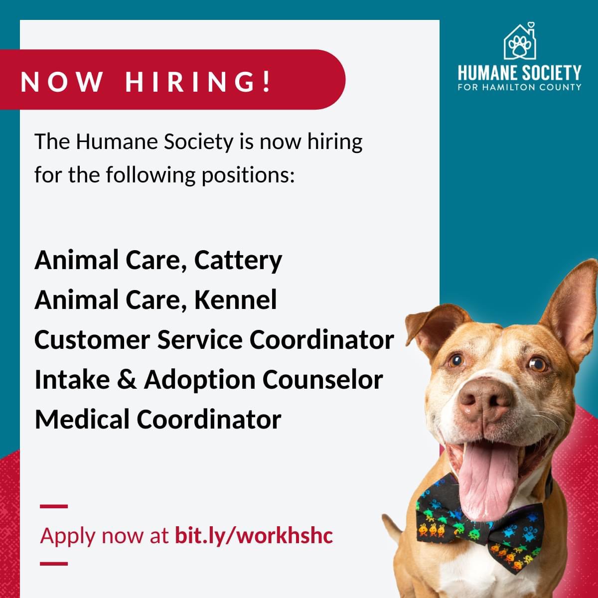Humane Society for Hamilton County on Twitter: Humane Society for Hamilton County on Twitter: