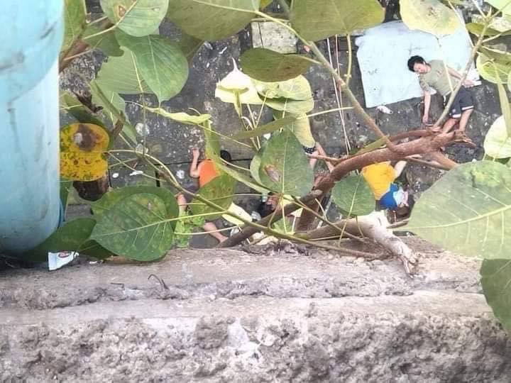 waiwainu's tweet photo. Disheartened! 😢😢 
5 youth (4 M/1 F) jumped off from a high rise building in 44th St, Yangon while they were being chased by the military. 
3 died, 2 were severely injured &amp; arrested by the Junta. 

May y'all rest in power. 😢
#WhatsHappeningInMyanmar
#Aug10Coup #SaveMyanmar https://t.co/jO9EwxTGn0