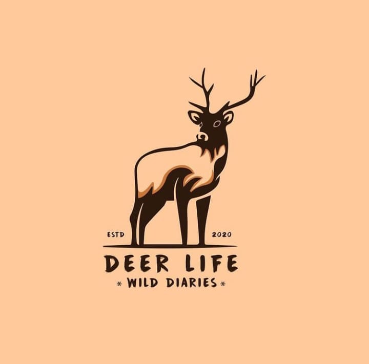 cegulls's tweet photo. WILD DEER LOGO

Desiged by @cegulls
#deer #deerlogo #cegulls #deerdesignlogo #logodesign #logos #logodesigner #logoinspire #logoinspiration #deerhunting #flatminimalist #minimallogo #minimalistlogo #minimalist #wild #logodaily  #animallogo #logodaily #wildlogo #branding https://t.co/xdesyYbvaS