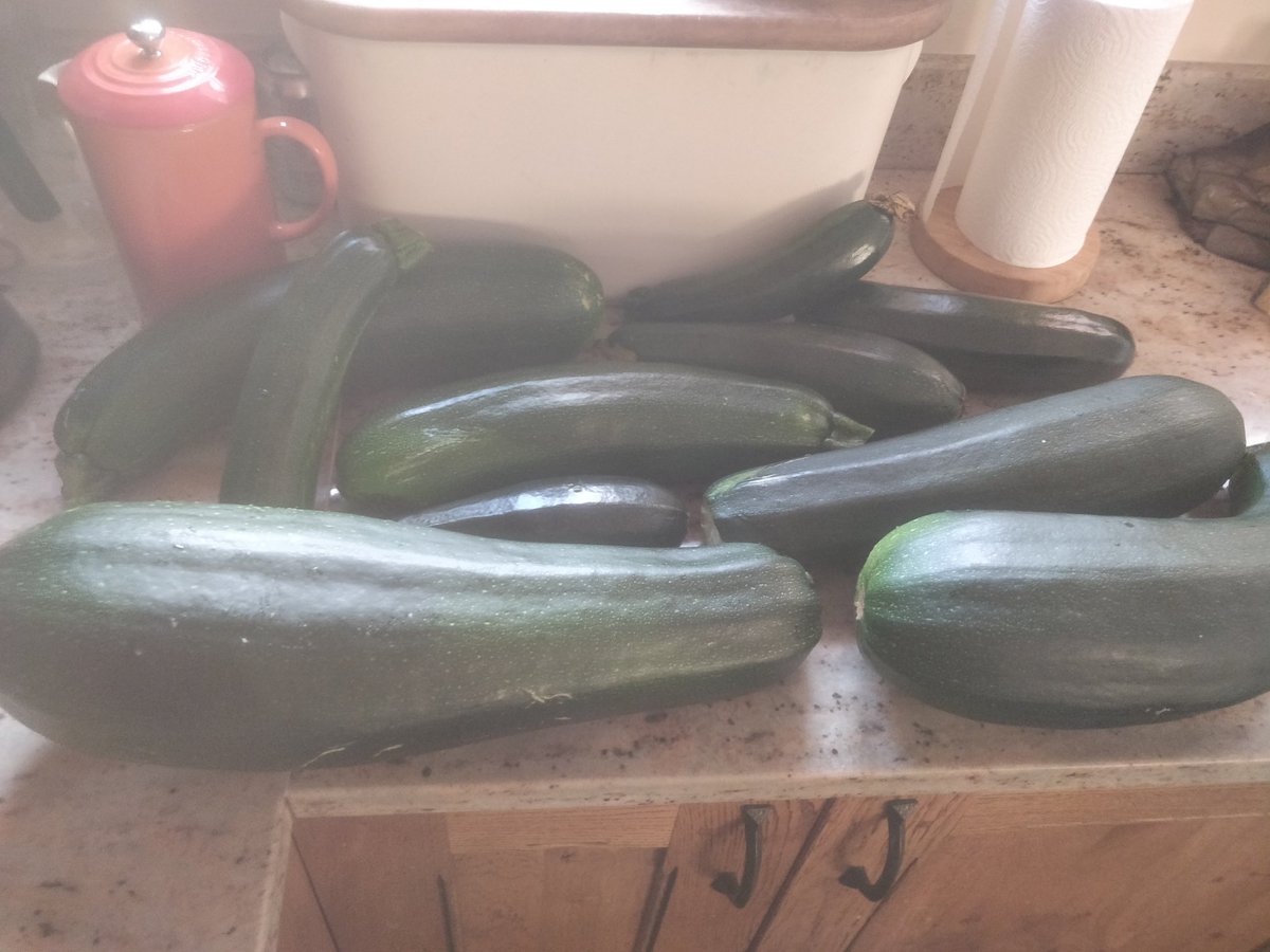 I left the courgettes alone for a week.... Anyone have any (lots) of marrow recipes?