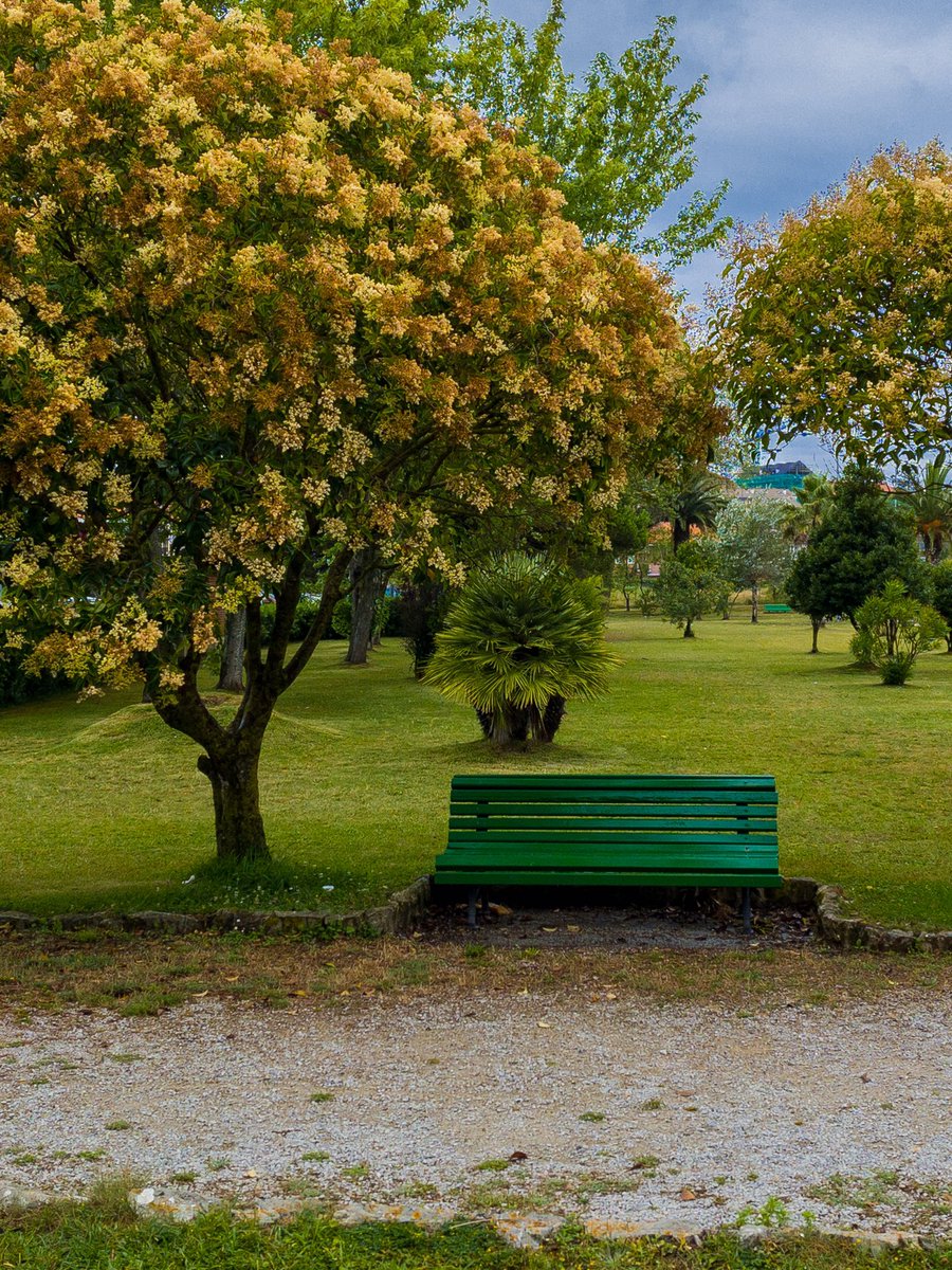 📚UN BONITO LUGAR PARA LEER.

#noja #españa🇪🇸 #parque #streetphotography #streetspain #photography #lovephoto #streets_storytelling #freephoto #stylefreephotography #stylefreephotos