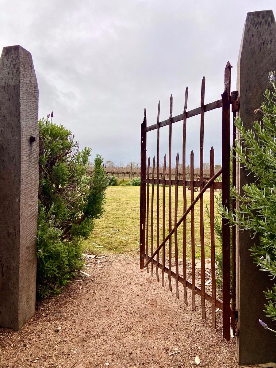 14 with Rain developing today...sounds like a #shiraz tasting in front of the fire coming up! #barossa #wine #tourism #southaustralia