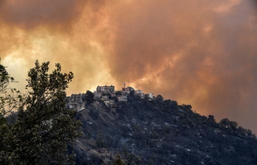 courrierinter's tweet photo. Algérie: plus de 40 morts dans les incendies qui ravagent le nord https://t.co/GaypJRQy1k https://t.co/8lpczWpglH