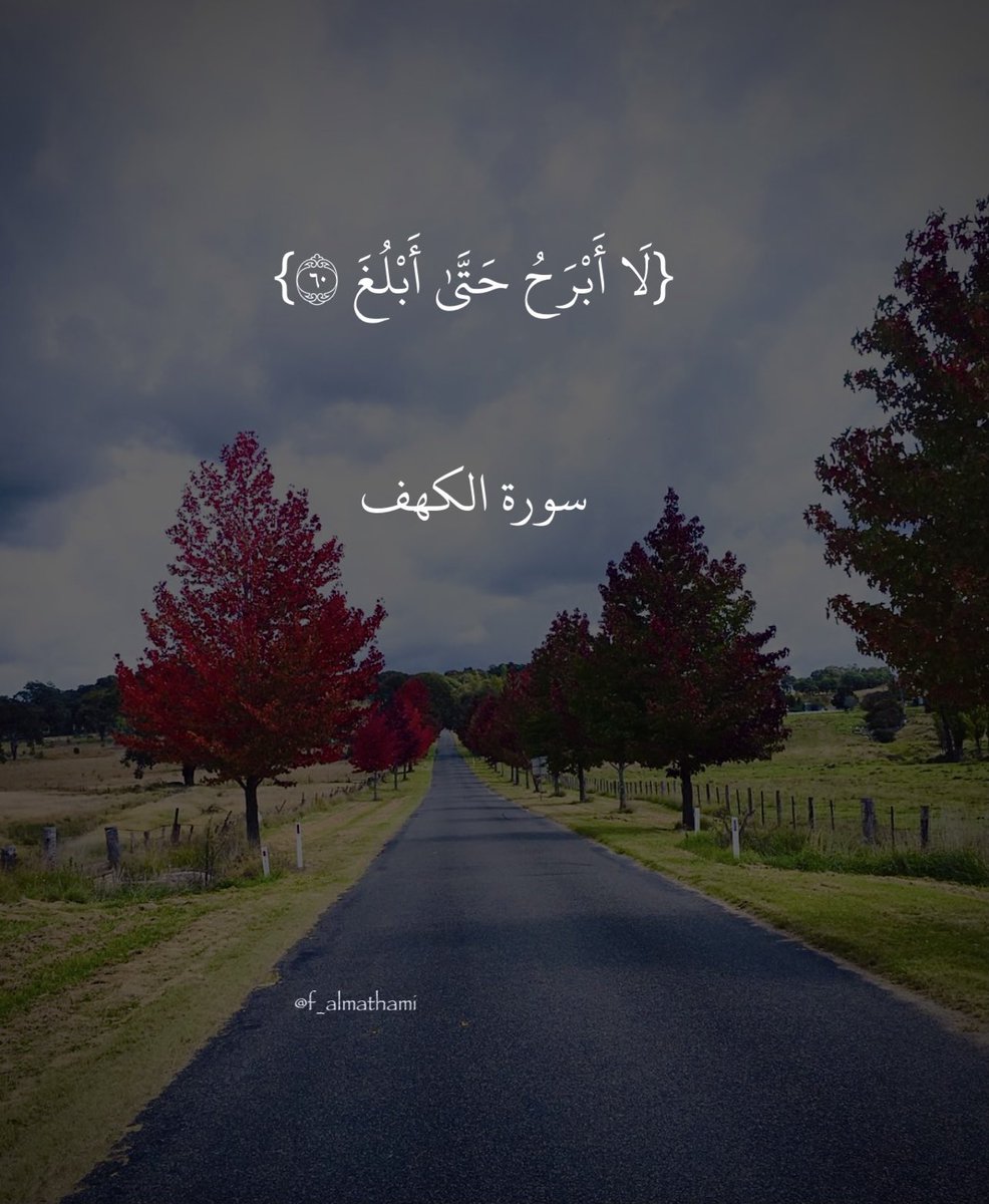 فاطمه المتحمي tweet media