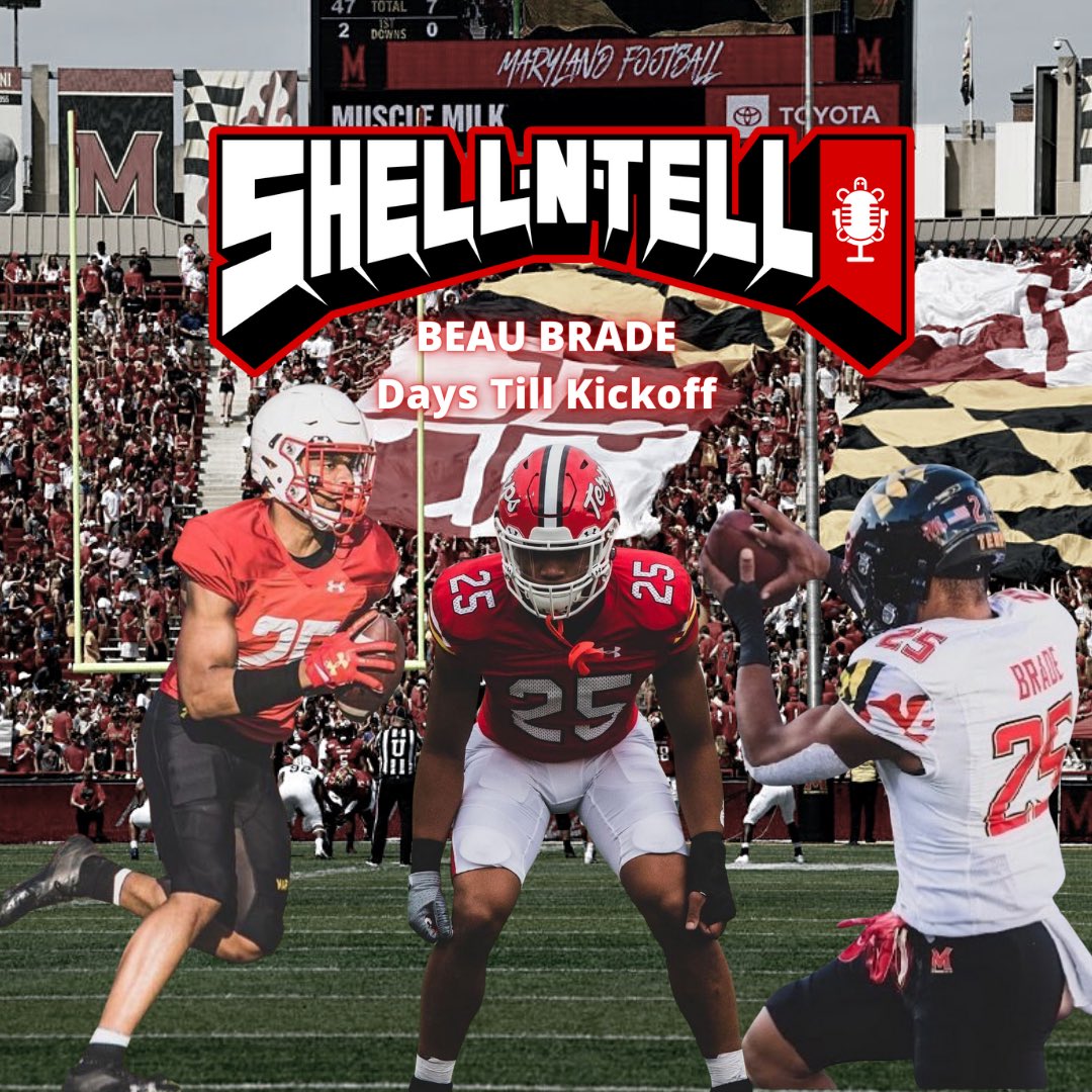 Shell-N-Tell tweet media