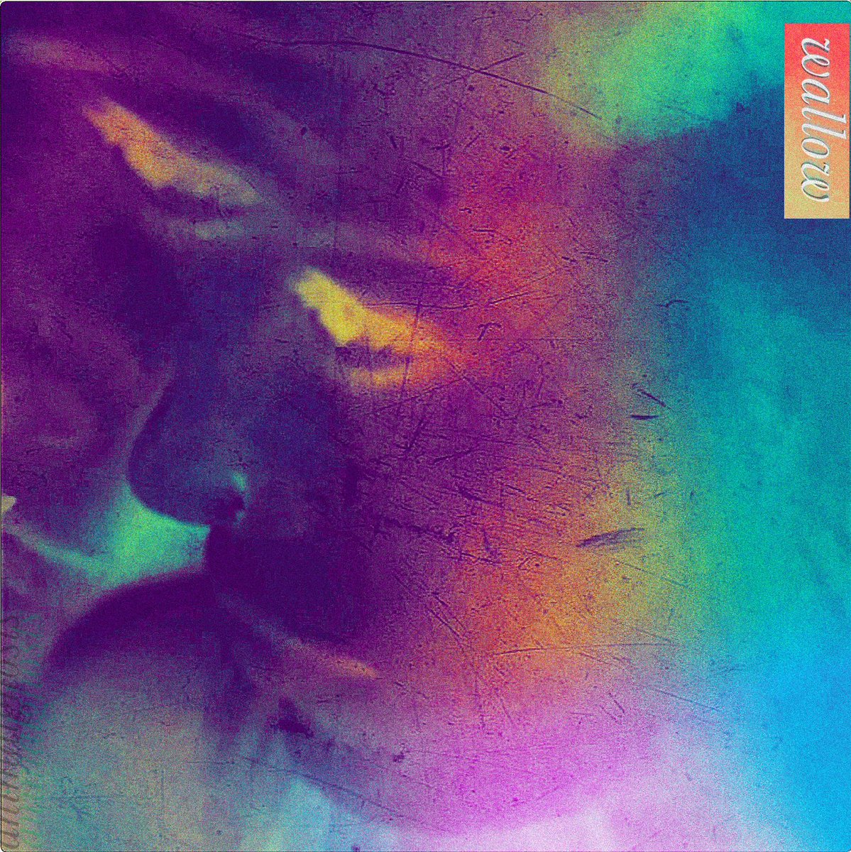 My new album is finished, it’s called “Wallow”. My plan is to release on vinyl which is going to cause some major delays, but I hope you’ll really like this one
#shoegaze #dreampop #newmusic #newalbum #reverb #pdxmusic