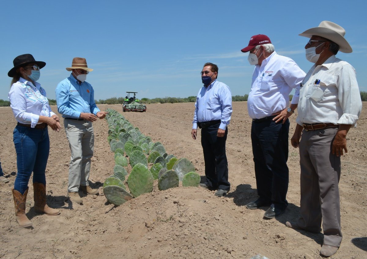 vmva1950's tweet photo. Visitamos en #GómezPalacio #Durango uno de los predios en los que se detonará la producción de nopal forrajero, lo que será base para impulsar el desarrollo de proyectos productivos familiares en regiones del país que presentan escasez de humedad. https://t.co/E2Gpt8HPSJ
