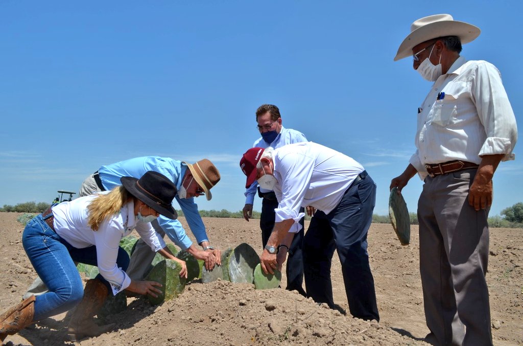 vmva1950's tweet photo. Visitamos en #GómezPalacio #Durango uno de los predios en los que se detonará la producción de nopal forrajero, lo que será base para impulsar el desarrollo de proyectos productivos familiares en regiones del país que presentan escasez de humedad. https://t.co/E2Gpt8HPSJ