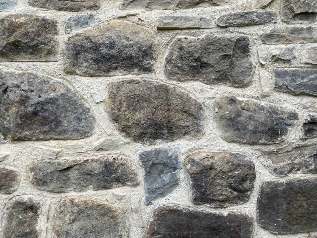 Elaine Blackett-Ord tweet media