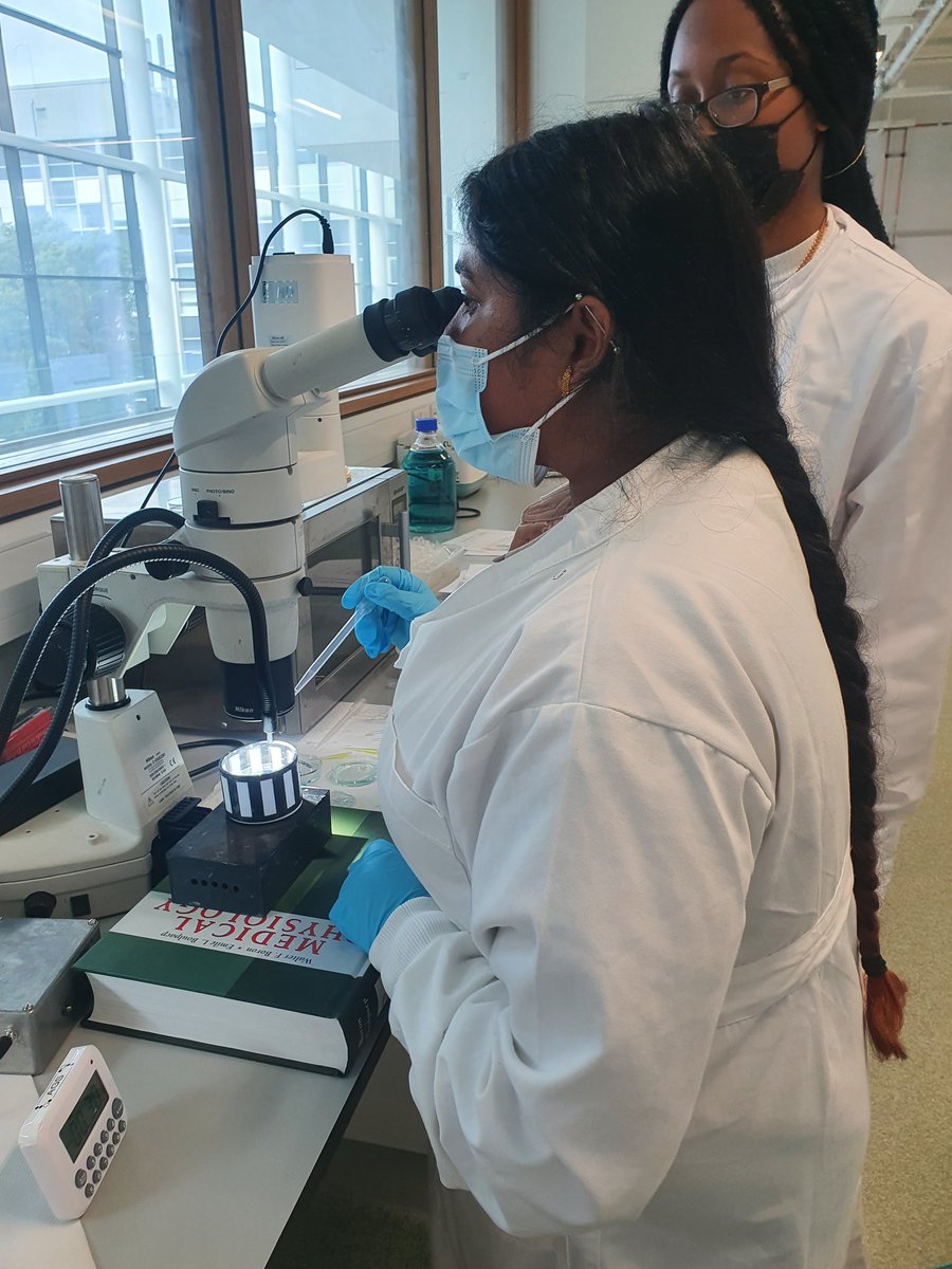 OPGG_UCD's tweet photo. For the past 2 days, we have had our students extremely busy in the lab! Yesterday we worked with zebrafish models of inherited blindness, and behavioural assays used to test vision. We also showed how some of the compounds we work with in the lab can restore visual function 🐟 https://t.co/qSRj84QzMT
