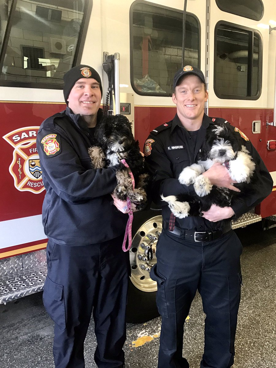 SarniaFire's tweet photo. It’s #TestItTuesday have you tested your smoke &amp; CO alarms this month? Be sure to change the batteries at least once a year &amp; replace any alarms that are more than 10 years old (including hardwired).
Disclaimer: the firefighters holding puppies was just to get your attention. https://t.co/smlWVcl1Hs