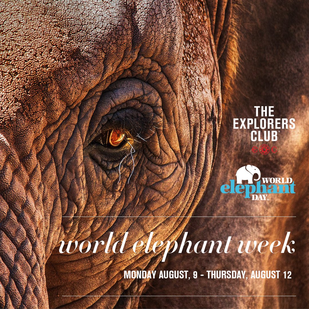 ExplorersClub's tweet photo. @wildlifedirect CEO & "Wildlife Warriors" host/producer @paulakahumbu will be joining us at #WorldElephantWeek Day 2, f/ "The Challenges of Winning Hearts & Minds in #Africa" - tonight at 7PM ET. This 4-day event is in collaboration w/ @wrldelephantday. Tune in! #ExploreElephants https://t.co/G3TvxPvNzS
