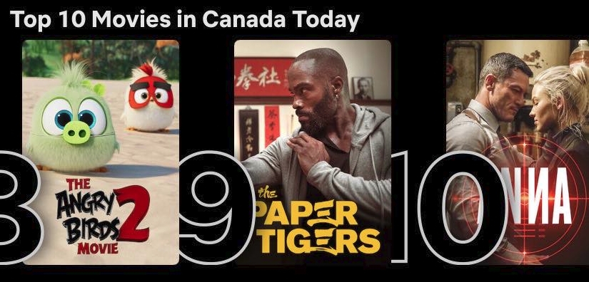 Yo <a href="/_ThePaperTigers/">The Paper Tigers</a> #7 on <a href="/netflix/">Netflix</a> + #9 on <a href="/Netflix_CA/">Netflix Canada</a>! Keep rising!

#ThePaperTigers #KungFu @NetflixFilm 

<a href="/angryasianman/">Phil Yu</a> <a href="/originalspin/">Jeff Yang 🫶 FOLLOW ME @ORIGINALSPIN ON THREADS/IG</a> <a href="/frontieresmrkt/">Frontières Market</a> <a href="/FantasiaFest/">Fantasia International Film Festival</a> <a href="/XYZFilms/">XYZ Films</a> <a href="/Film_AMP/">AMP International 🎥</a> <a href="/briflys/">Brian Yang</a> <a href="/vcmediaorg/">Visual Communications</a> <a href="/VCFilmFestival/">VCFilmFestival</a> <a href="/HIFF/">Hawaiʻi International Film Festival</a> <a href="/seattleaaff/">SeattleAAFF</a> <a href="/BostonAAFilm/">Boston AA Film Fest (@baaff.bsky.social)</a> <a href="/AsianCineVision/">Asian CineVision</a>