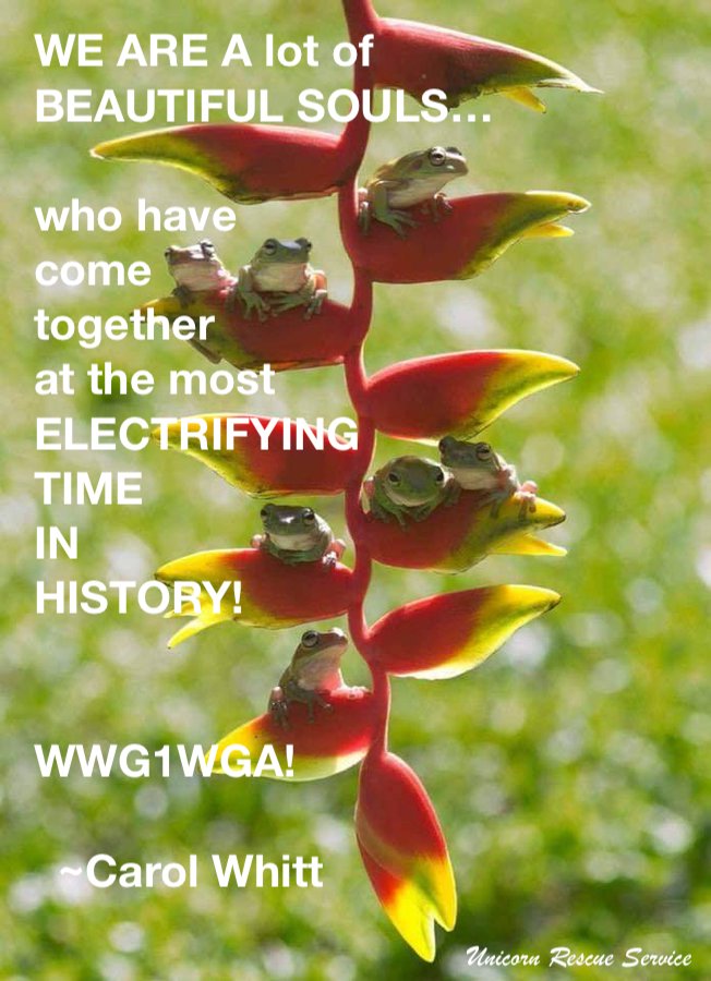 AccessSuspended's tweet photo. Unicorn Rescue Service has been taken down again:

This is the backup account:
https://t.co/mdbLhEWNOg

Things are going to get very rough throughout August - hold tight!♥️🐸♥️🙂...

Sending love and strength!♥️🐸♥️🙂... https://t.co/5ek7czSwcP