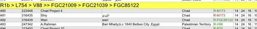 خبر جديد نتيجة قرعانية ظهرت تحت تحور R-fgc85122  و يعتبر هذا تحور خاص في قرعان الى الان. المعروف سباقا حسب دراسات علمية ان شعب قرعان يغلب عليهم سلالة R1B-V88 وهذه أخير سلالة اورواسية دخلت افريقيا عن طريق مصر قبل ٣٠٠٠الف سنه...