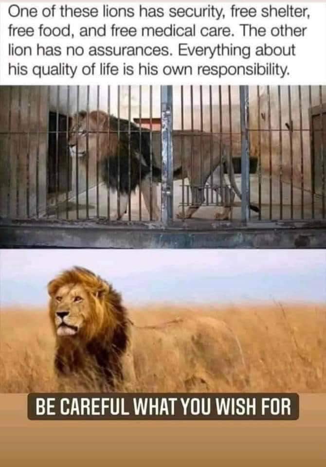 MarkRPellegrino's tweet photo. 👇 Yup. https://t.co/g9IgvEhuGU