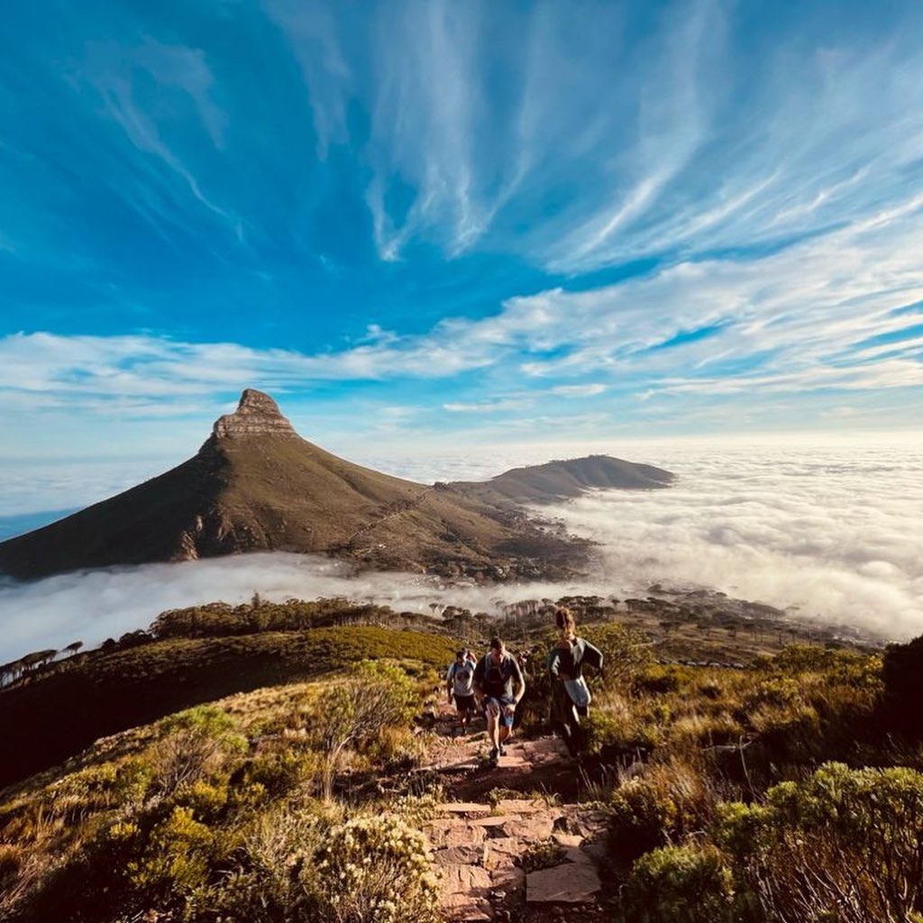 SANParks tweet picture