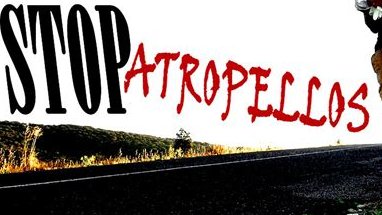 Difunde la Injusticia Animal 
Atropellado brutalmente hasta la muerte 
#justiciaparacampanito
@victory091951 <a href="/pat_patelli/">Patrizia Patelli</a> @maolriaga @ceireelosegi <a href="/Carolyn_lee720/">cantarita</a> <a href="/maycamoony/">Maycamoony</a> @mayad415 
 <a href="/Raimund72866690/">Raimunda</a> <a href="/CelsoGrau/">CELSO GRAU FERNANDEZ</a> <a href="/elretrovisorblg/">jose molina</a> <a href="/puesaquistamos/">Blasa Failde</a> <a href="/OcellOlga/">olga</a> <a href="/SilvioMartinezM/">Silvio Martinez M</a>