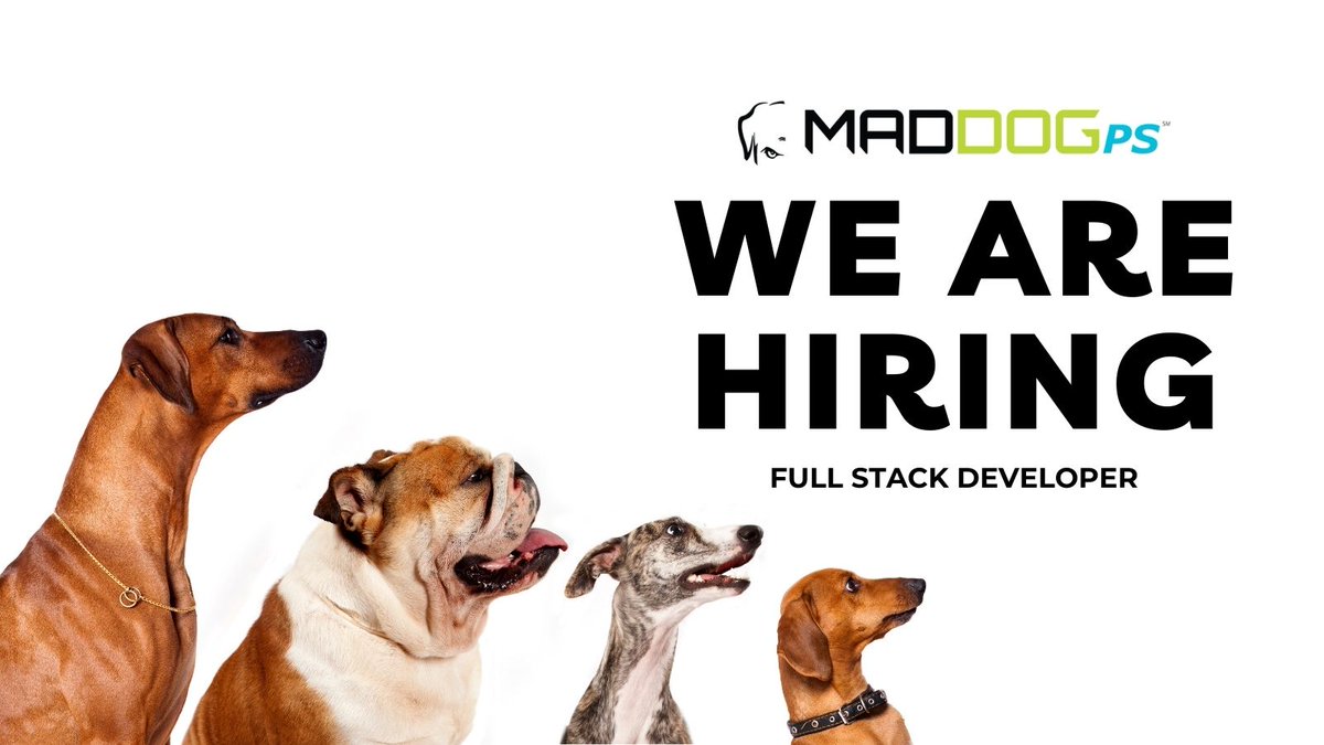 WE ARE HIRING! We are on the hunt for a Full Stack Developer. Click on the link to apply today -> linkedin.com/jobs/view/2670… #wearehiring #jobsearch #fullstackdeveloper #nowhiring