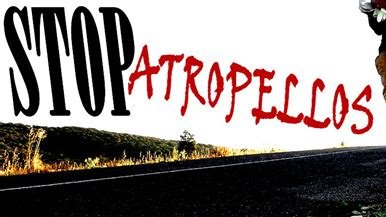 Difunde la Injusticia Animal 
Atropellado brutalmente hasta la muerte 
#Brihuega #Campanito 
#justiciaparacampanito 
@nosoylaplaga <a href="/Lisamonayo/">Lisamonayo🌻</a> <a href="/rafadelcastillo/">Rafael del Castillo ۞</a> <a href="/RamssMartn1/">Ramsés Martín</a> <a href="/gonzalez_berna/">Berna Madrid Gonzalez @.com</a> <a href="/Olga20196/">🐈Animales abandonados te necesitan</a> <a href="/lalyamados/">L.Amado</a> <a href="/Edelmiro1961/">Edelmiro Molinari 💚🇪🇸💚</a> @betizurekin_ <a href="/Alondra2020/">Rosi Rodriguez</a> <a href="/mofilippi/">Monica Filippi</a> <a href="/weareallassange/">WeAreAllAssange 🍀</a>