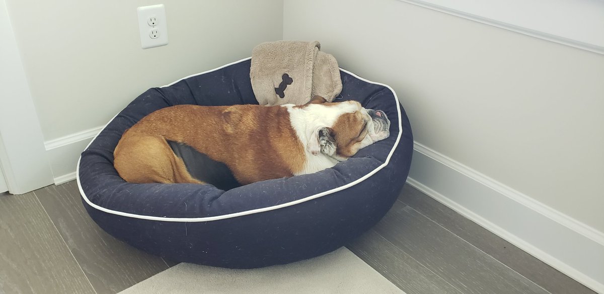 UCPeter's tweet photo. @TheButlerBlue @butleru https://t.co/to0VFRJYpb
