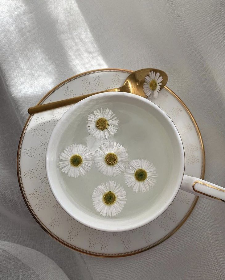 ______________________________________
                                    🌼
    Ne yani? Papatyada bir yaprak daha
          olsaydı beni sevecek miydin?
                           |Sunay Akın