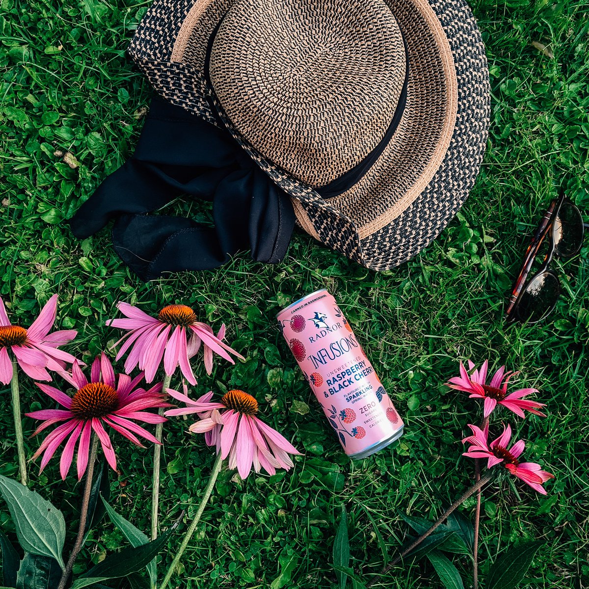 S i a n 🌱 tweet media