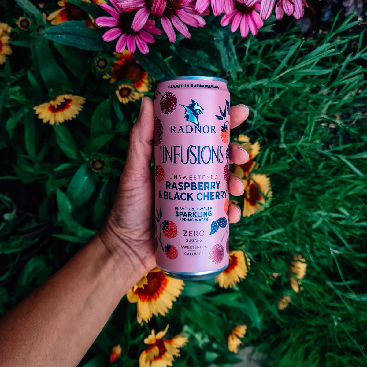 S i a n 🌱 tweet media