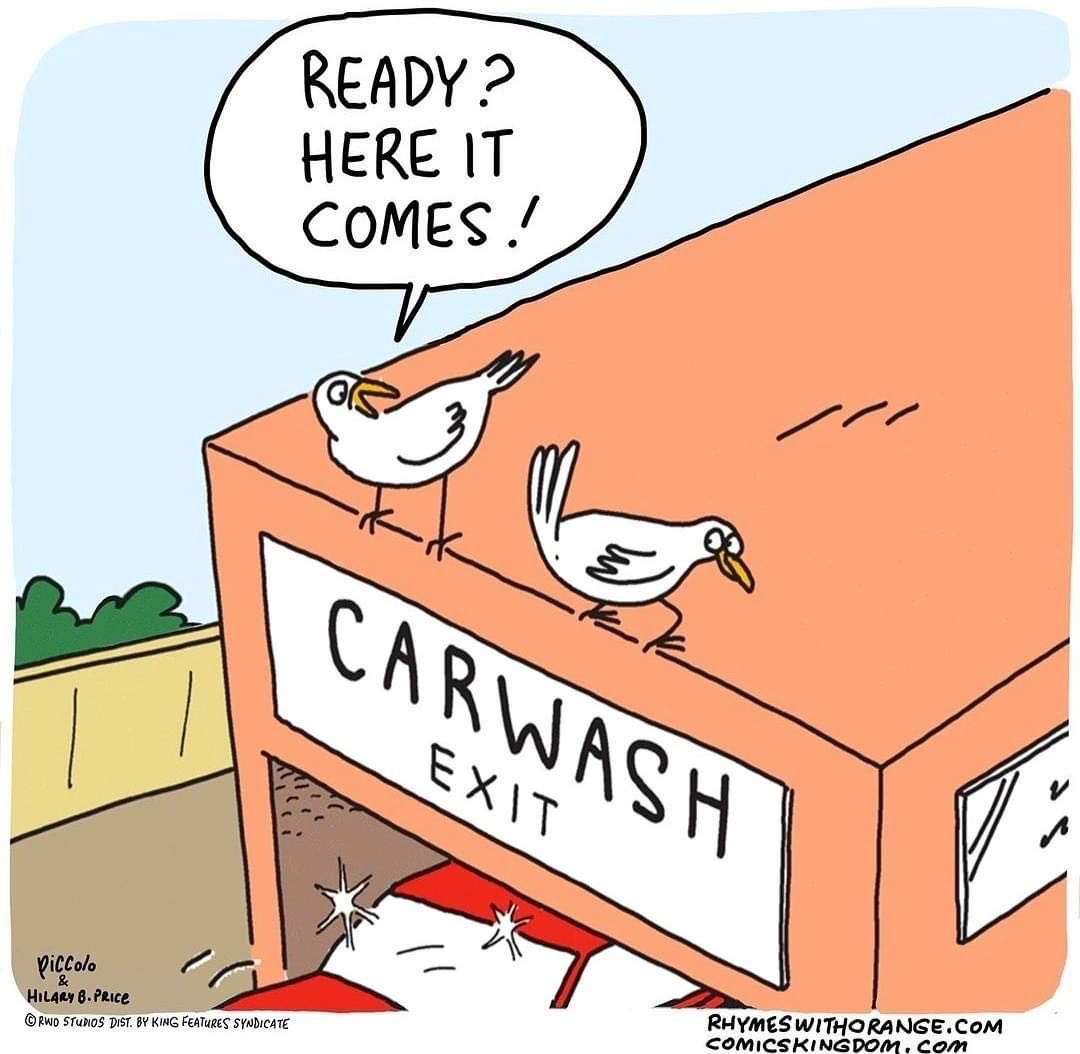 wt_wbb's tweet photo. Don’t let this happen to you …instead Come and support The WINCHESTER girls Basketball team car wash this Saturday ~from 9-3 @Ventos pizza in East liberty https://t.co/cjO7w8ZN0M