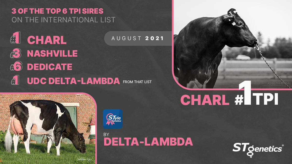 STgenetics's tweet photo. STgenetics has 3 of the TOP 6 TPI sires on the International List provided by @HolsteinUSA 🏆 CHARL # 1 TPI 🏆 Delta-LAMBDA # 1 UDC 🏆 Joining them on this list are 15 other #STgenetics sires, including: # 3 NASHVILLE # 6 DEDICATE # 11 BATTLE # 13 ROOSTER, all available in #4M™ https://t.co/hRns7zYtlT
