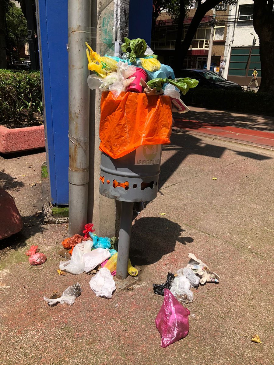 pauflames's tweet photo. ¿Cuántos días más habrá que esperar para que pasen por la basura de los botes @AlcaldiaMHmx ? https://t.co/fFlNb8G4QQ