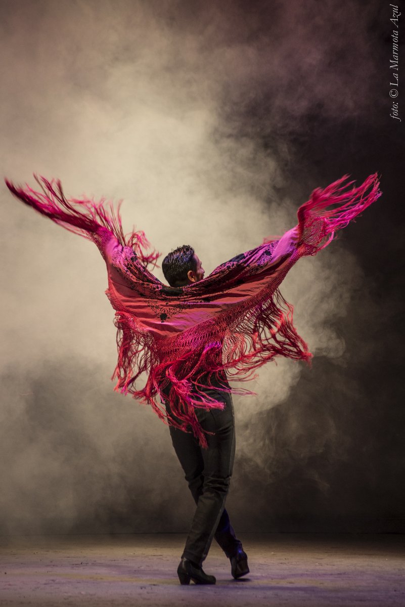 Gabrielgtzg's tweet photo. En @danzaINBAL se va a presentar #INTERflamenca con su solo "Puntales del cante".
Próximamente en el @CCB_INBAL https://t.co/0U6OrRK7oW
