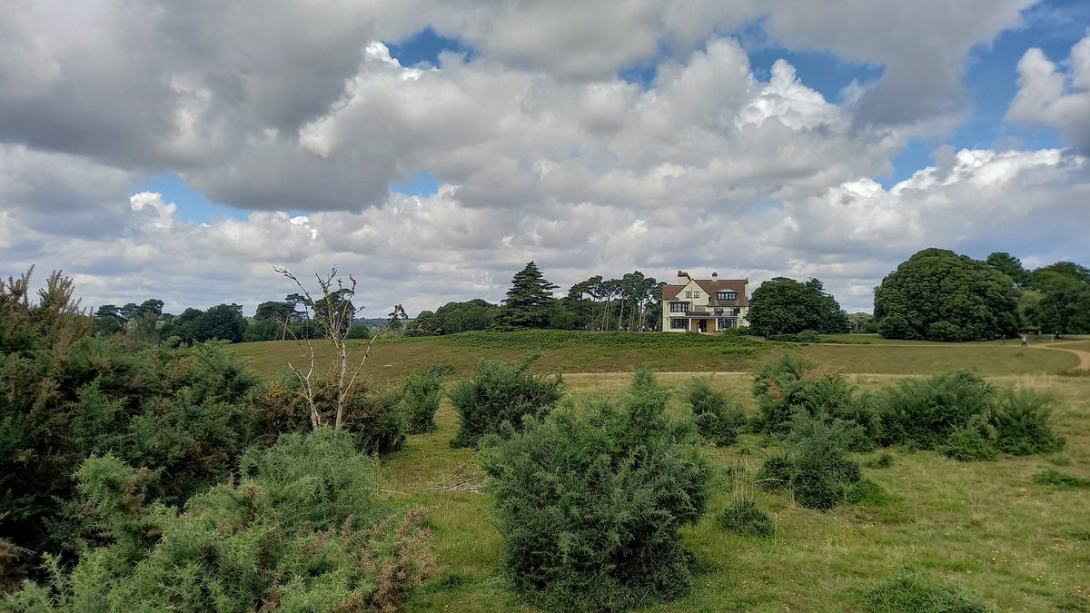 Saschaloske's tweet photo. Sutton Hoo. An intense landscape. 
@NT_SuttonHoo #Woodbridge #SuttonHoo #Suffolk #EdithPretty #BasilBrown #Saxon https://t.co/k51tdvwQ1c