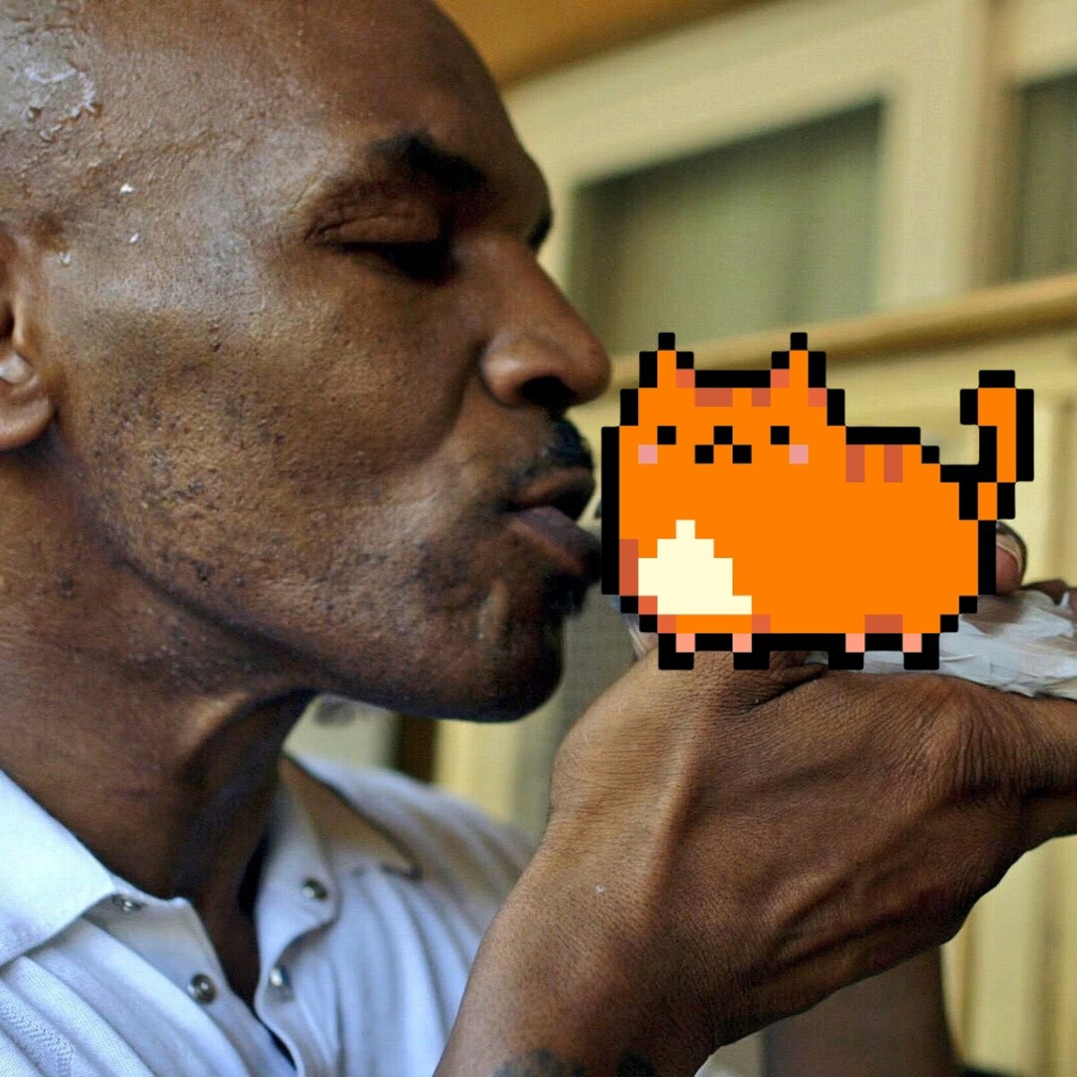 Mike is into NFT's and likes cool cats, he needs to know about @kittycoins_io