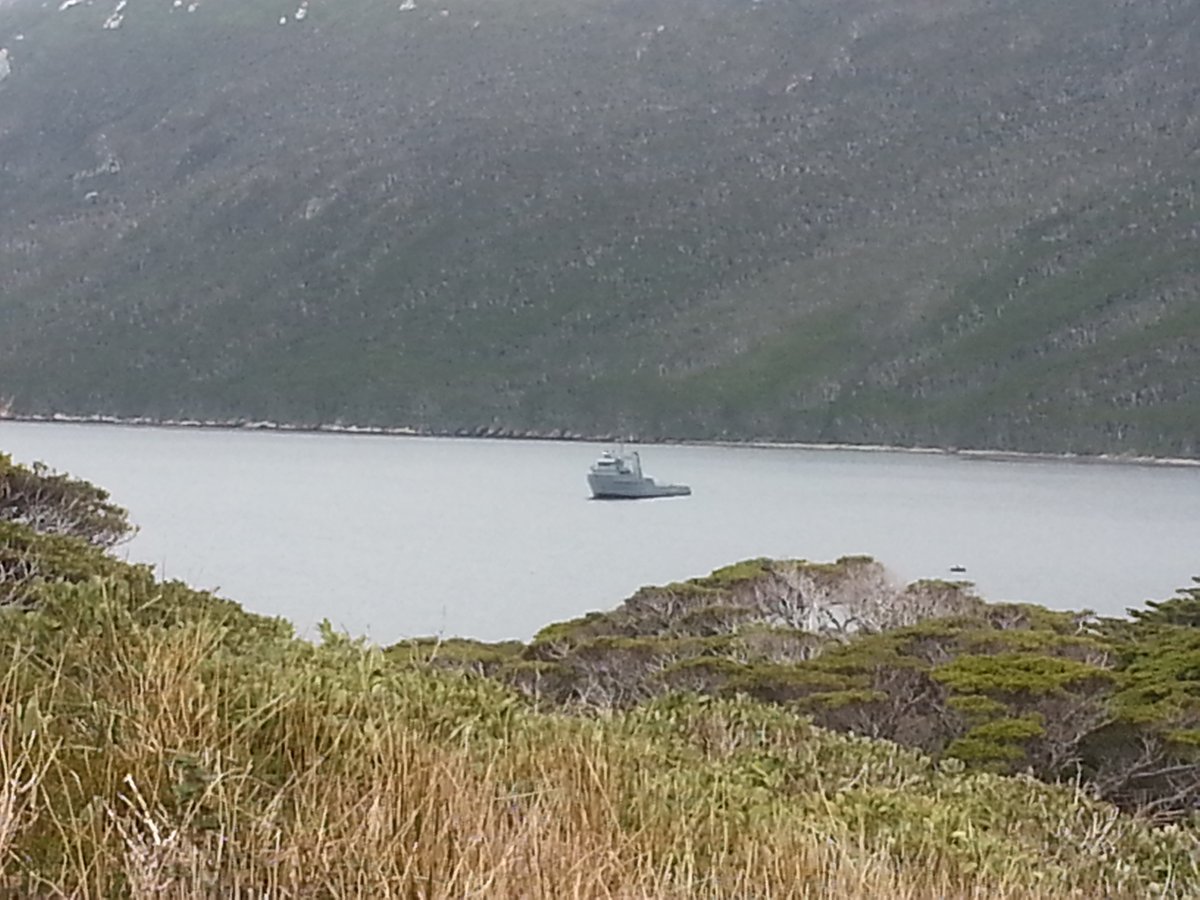 sofiradio19's tweet image. #10Ago  
#IsladelosEstados 
Cementerio en #PuertoCook y playa del istmo que separa Pto Cook de #Vancouver 
#TDFAEIAS