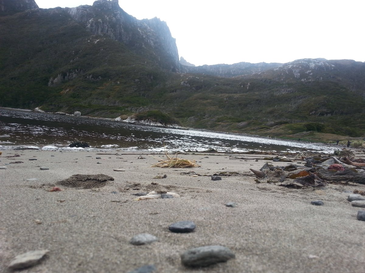 sofiradio19's tweet image. #10Ago  
#IsladelosEstados 
Cementerio en #PuertoCook y playa del istmo que separa Pto Cook de #Vancouver 
#TDFAEIAS