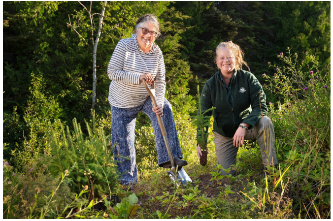ParcsCanada's tweet photo. Nouvelle emballante ! Nous planterons 15 000 arbres au #PNForillon cette année ! 🌳 L’hon. Diane Lebouthillier et Élisabeth Lacoursière, dir. de #ParcsCanada en Gaspésie, ont planté un arbre symbolique pour souligner l’occasion. 🌲 Plus d’info. : https://t.co/jhmsjwLsJI https://t.co/r2x33OTz1L
