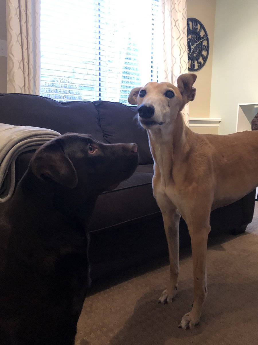 ms_apps_math's tweet photo. @megstalter I call them, “The Odd Couple”. https://t.co/LIxZ1YRPmU